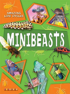 Minibeasts (Amazing Life Cycles) - McGavin, George