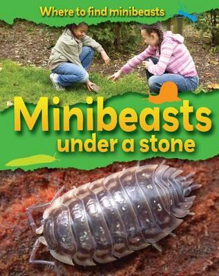 Minibeasts Under a Stone - Ridley, Sarah