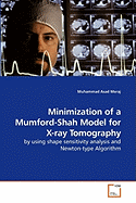 Minimization of a Mumford-Shah Model for X-ray Tomography