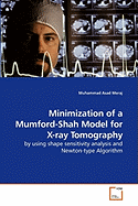 Minimization of a Mumford-Shah Model for X-Ray Tomography