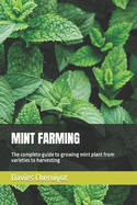 Mint Farming: The complete guide to growing mint plant from varieties to harvesting