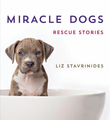 Miracle Dogs: Rescue Stories - Stavrinides, Liz