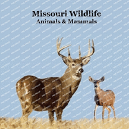 Missouri Animals and Mammals Kids Wildlife Book: Great Missouri Animals book with Lifelike Images and Fun Facts
