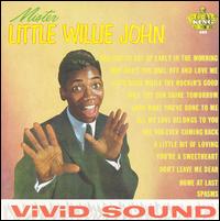Mister Little Willie John - Little Willie John