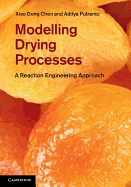 Modeling Drying Processes