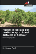 Modelli di utilizzo del territorio agricolo nel distretto di Solapur