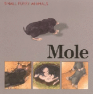 Mole - Morris, T