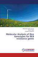 Molecular Analysis of Rice Genotypes for Blb Resistance Genes