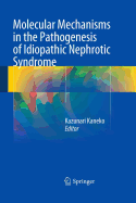 Molecular Mechanisms in the Pathogenesis of Idiopathic Nephrotic Syndrome