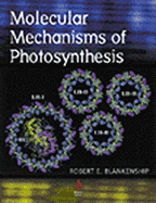 Molecular Mechanisms of Photosynthesis