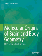 Molecular Origins of Brain and Body Geometry: Plato's Concept of Reality Is Reversed