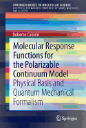 Molecular Response Functions for the Polarizable Continuum Model: Physical basis and quantum mechanical formalism
