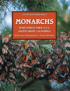 Monarchs in Butterfly Town, U.S.A Pacific Grove, California