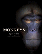 Monkeys: Apes, Gorillas and other Primates