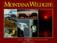 Montana Wildlife