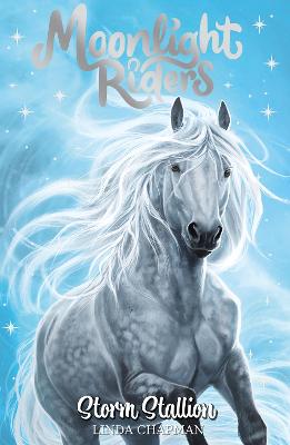 Moonlight Riders: Storm Stallion: Book 2 - Chapman, Linda