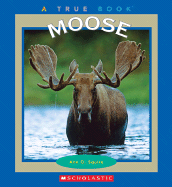 Moose