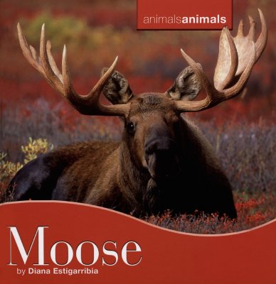 Moose - Estigarribia, Diana