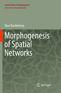 Morphogenesis of Spatial Networks