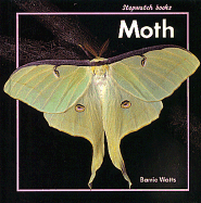 Moth