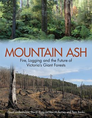 Mountain Ash: Fire, Logging and the Future of Victoria's Giant Forests - Lindenmayer, David, and Blair, David, and McBurney, Lachlan