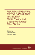 Multidimensional Filter Banks and Wavelets: Basic Theory and Cosine Modulated Filter Banks