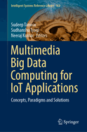 Multimedia Big Data Computing for Iot Applications: Concepts, Paradigms and Solutions