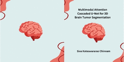 Multimodal Attention Cascaded U-Net for 3D Brain Tumor Segmentation