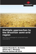 Multiple approaches to the Brazilian semi-arid region