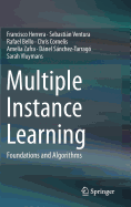 Multiple Instance Learning: Foundations and Algorithms