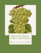 Muscadine Grapes: Culture and Varieties: Bulletin 205