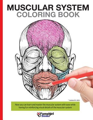 Muscular System Coloring Book: Now you can learn and master the muscular system with ease while having fun - Books, Pamphlet
