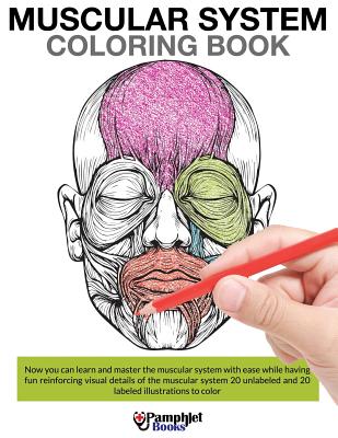 Muscular System Coloring Book - Books, Pamphlet