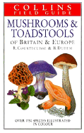 Mushrooms & Toadstools