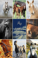 My Address Book: Horse Cover - Address Book for Names, Addresses, Phone Numbers, E-mails and Birthdays