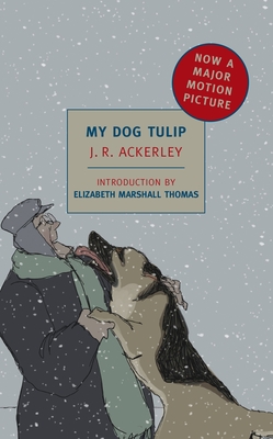 My Dog Tulip: Movie Tie-In Edition - Ackerley, J R, and Thomas, Elizabeth Marshall (Introduction by)