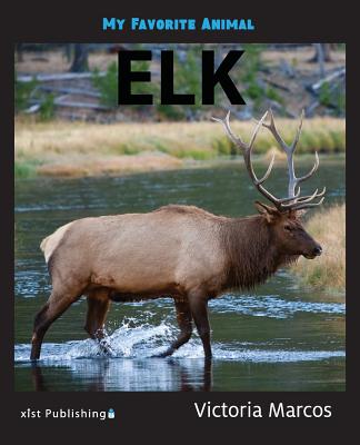 My Favorite Animal: Elk - Marcos, Victoria