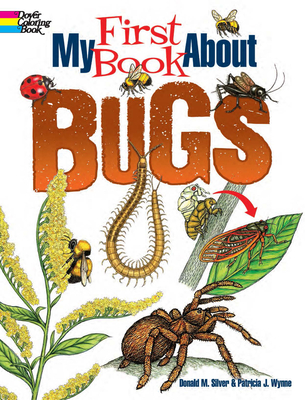 My First Book about Bugs - Wynne, Patricia J, and Silver, Donald M