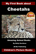 My First Book about Cheetahs - Amazing Animal Books - Children's Picture Books