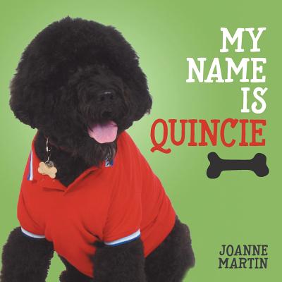 My Name is Quincie - Martin, Joanne