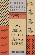 My Quest of the Arab Horse