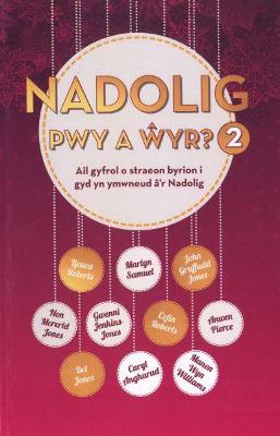 Nadolig Pwy a Wyr 2 - Various