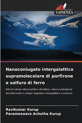 Nanoconiugato intergalattico supramolecolare di porfirone e solfuro di ferro - Kurup, Ravikumar, and Achutha Kurup, Parameswara