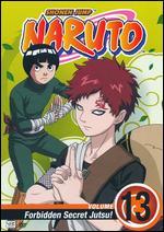 Naruto, Vol. 13