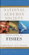 National Audubon Society Field Guide to Fishes: North America