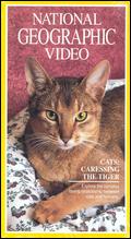 National Geographic: Cats - Caressing the Tiger - 