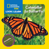 National Geographic Kids Look and Learn: Caterpillar to Butterfly
