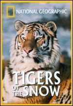 National Geographic: Tigers of the Snow