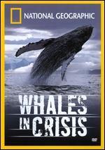 National Geographic: Whales in Crisis