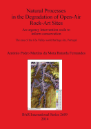 Natural Processes in the Degradation of Open-Air Rock-Art Sites: An urgency intervention scale to inform conservation: The case of the Coa Valley world heritage site, Portugal